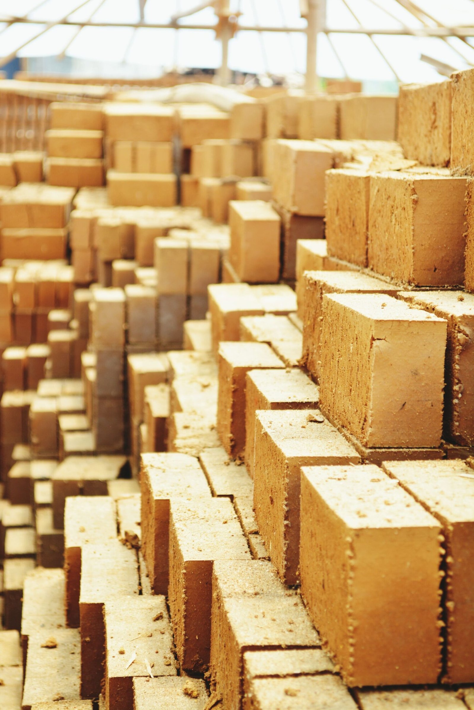 stack-wood-outdoors (1)